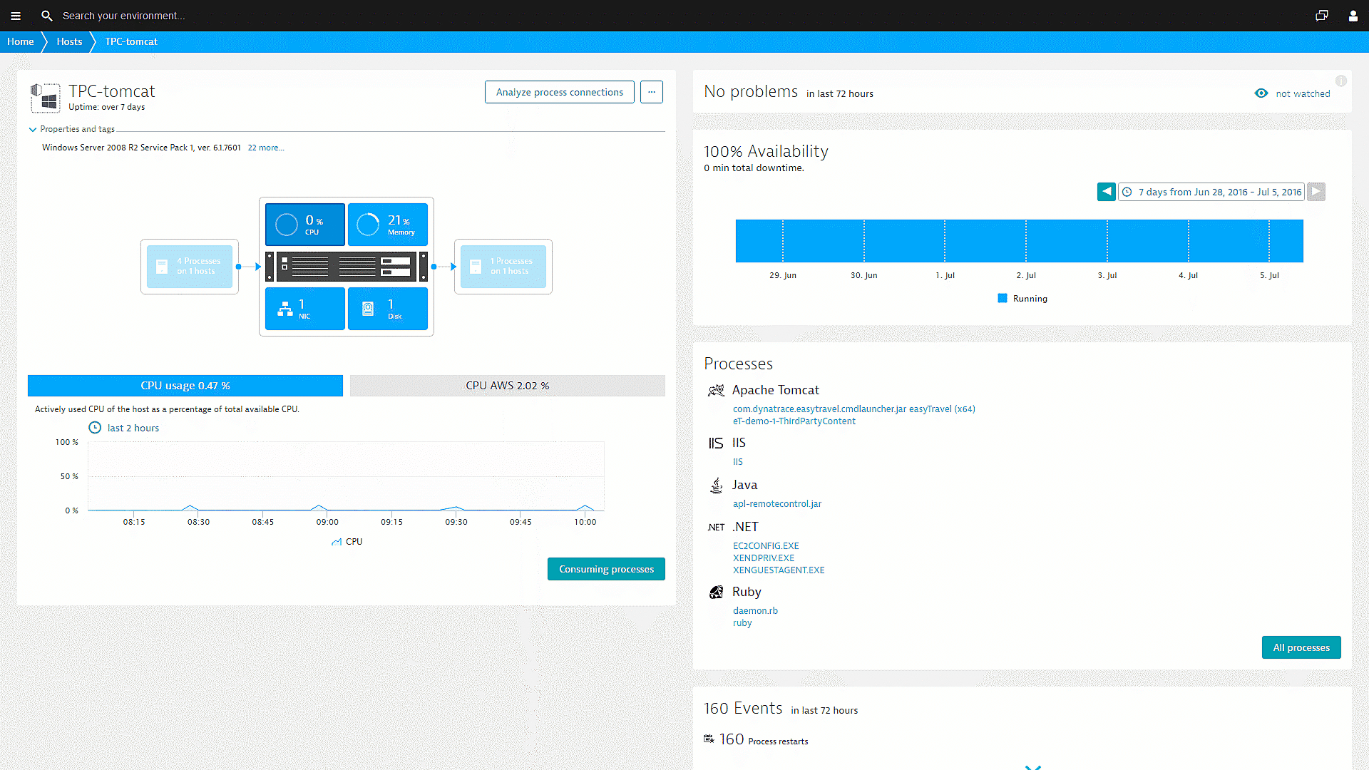 EC2 VM monitoring overview in Dynatrace screenshot