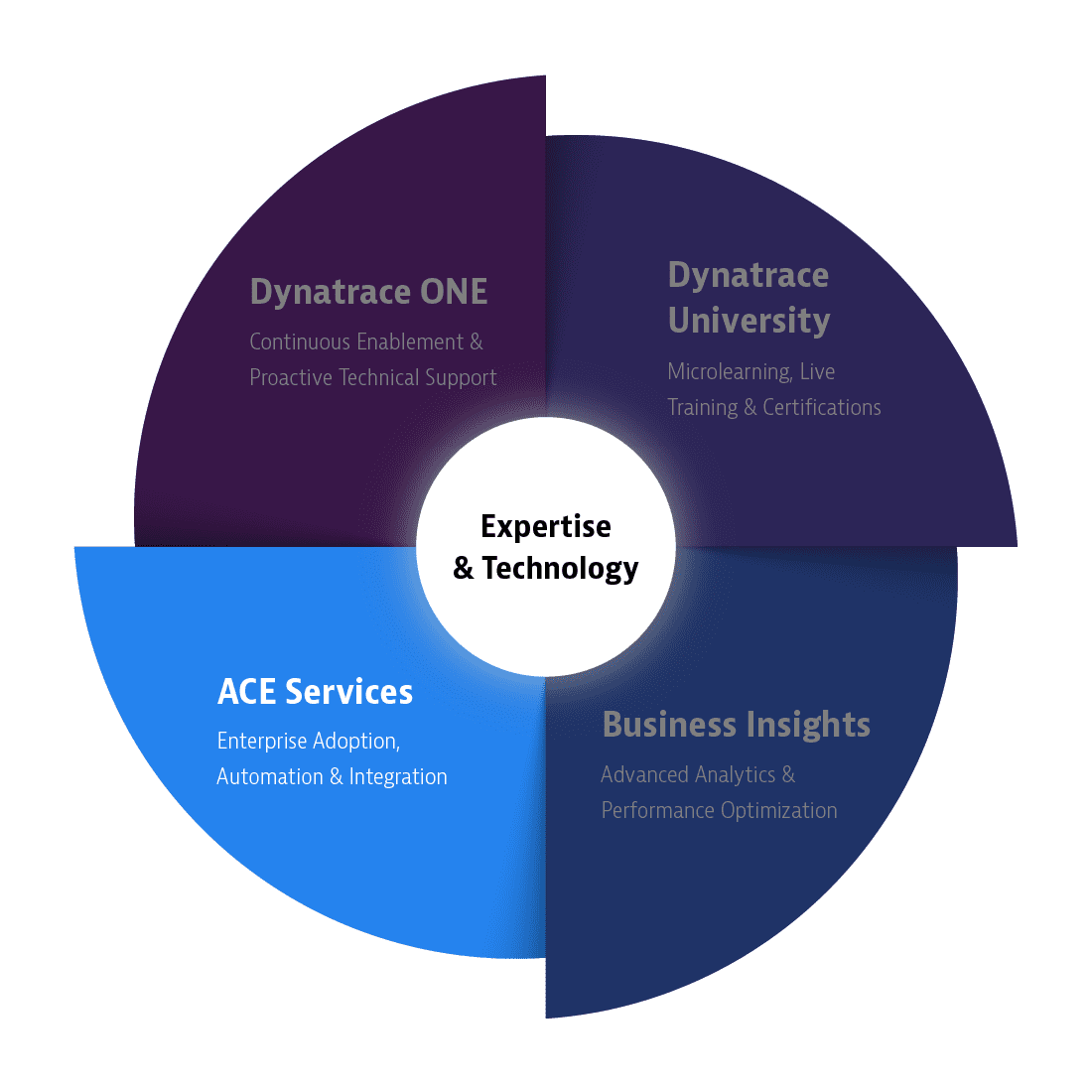 ACE Services