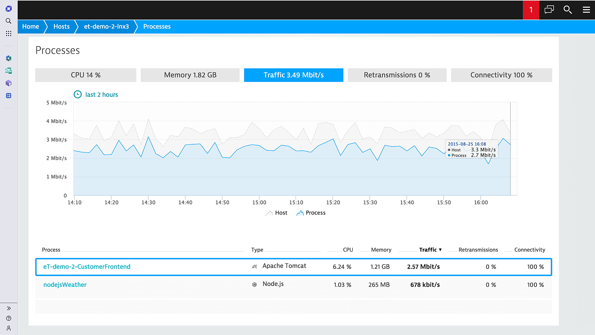 Process info in Dynatrace screenshot