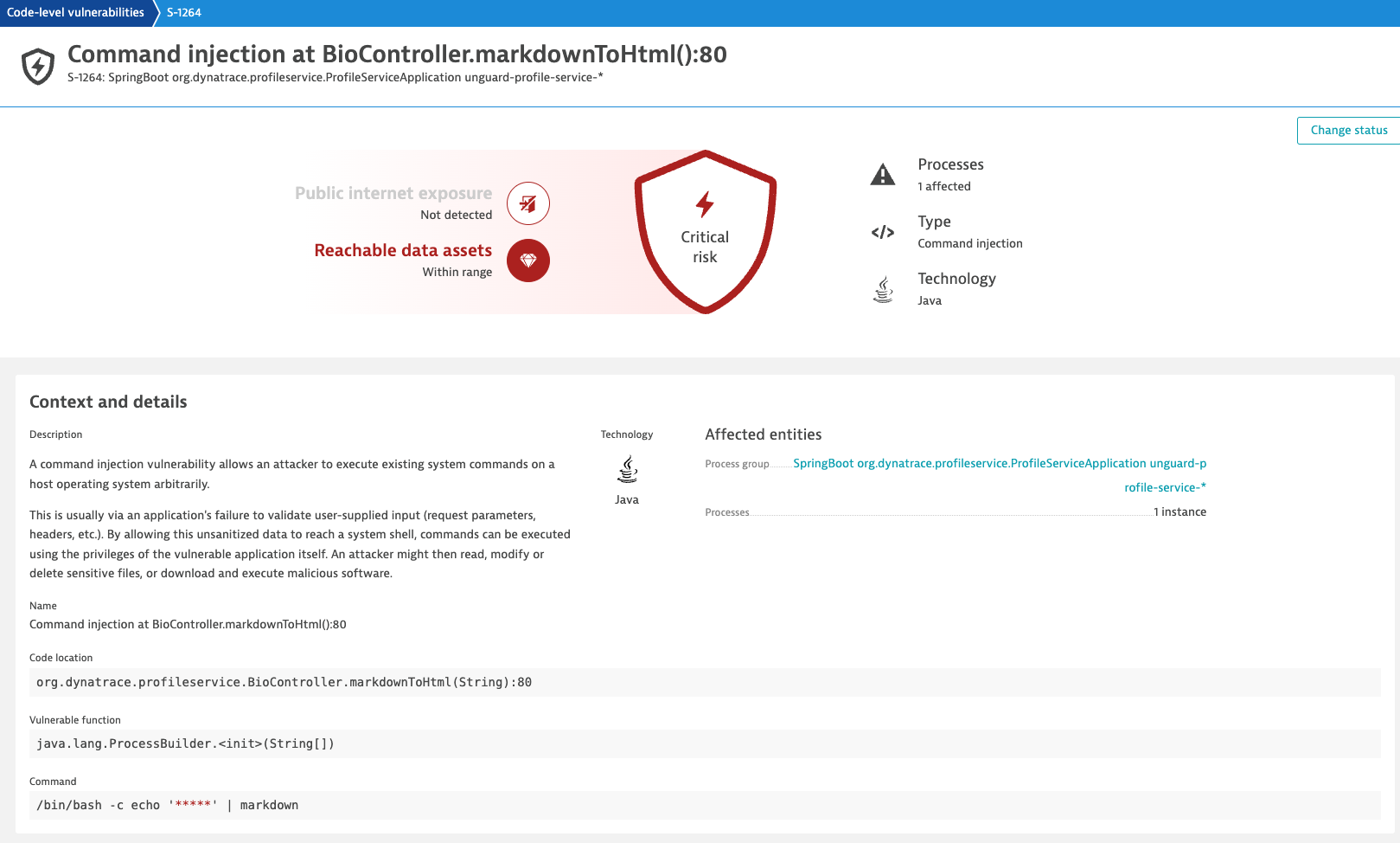 Code-level vulnerability detail